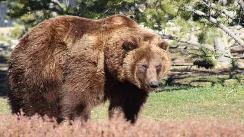 亚洲杯乒乓球小组赛第3轮：吴晙诚对阵黄友政 比赛精华